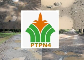 Pengerasan Jalan Poros di PTPN IV Unit Mayang Diduga Dikerjakan Asal Jadi, Belum Apa Apa Sudah Rusak