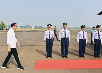 Jokowi Utamakan Sumber Energi Hijau Pasok Listrik Nasional