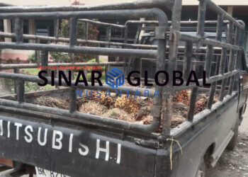 Petugas Pengamanan PTPN IV Unit Tinjowan Amankan Mobil Pick Up L 300 Berisi TBS Diduga Milik Pencuri