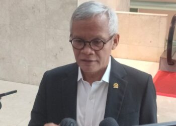 Politikus PDI-P: Pak Jokowi dan Gibran, Ada Apa? Bu Mega Salah Apa?