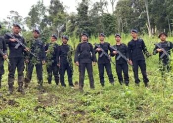 Polda Sumut Menoreh Sejarah,Berburu Ladang Narkoba Terbesar Musnahkan 110 Ton Ganja