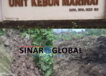 Diduga Tak Sejalan Misi Perusahaan Hingga Tankos Terbuang, Manajemen PTPN IV Diminta Copot Manajer dan Askep Kebun Marihat