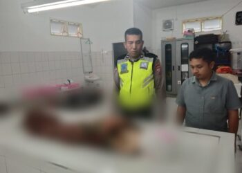 Unit Gakkum Sat Lantas Polres Simalungun Tangani Kasus Laka, Tragedi di Pagi Cerah: Gadis Kecil Tewas Terlindas Pick Up