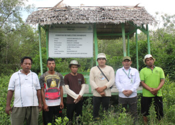 Muhammad Taufik Amrullah Mahasiswa ITB Ahmad Dahlan Jakarta Bantu Rehabilitasi Hutan Mangrove Demi Kesejahteraan Masyarakat