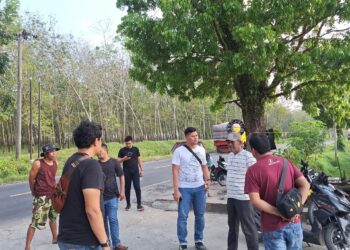 Sat Narkoba Polres Simalungun Selidiki Laporan Medol Adanya Peredaran Narkoba di Area Perkebunan Karet