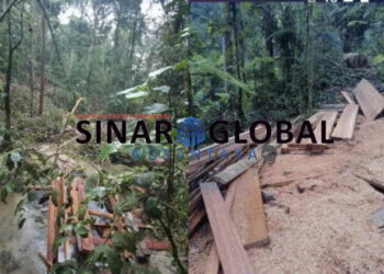 Pembalakan Kayu Alam Bebas Beraksi di Register 2 Sibatuloting Simalungun, Diduga Dibekingi Oknum Berpengaruh Kapoldasu Diminta Turunkan Tim
