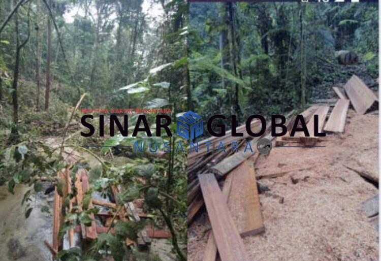 Keterangan foto: Aktivitas perambahan hutan  yang sedang berlangsung di Register 2 Sibatuloting Simalungun