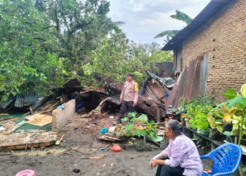 Pohon Rambutan Tua Tumbang Timpa Rumah di Dolok Batu Nanggar, Tidak Ada Korban Jiwa