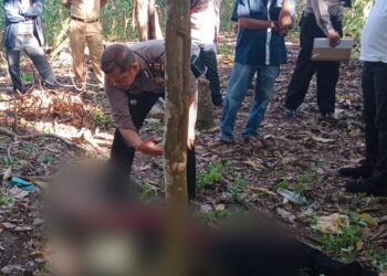 Polsek Parapat Evakuasi Temuan Mayat di Perladangan Kopi, Diduga Akibat Penyakit Asam Lambung Kronis