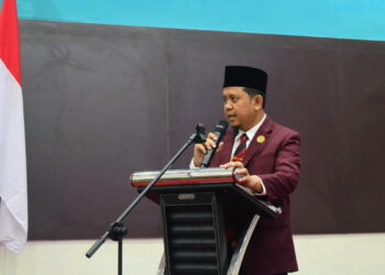 PPNI Bireuen Gelar Seminar Kesehatan Terintergrasi Plataran Sehat Kemenkes
