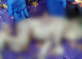 Bayi Ditemukan Di kebun Teh Sidamanik Polisi Buru Pelaku..!!