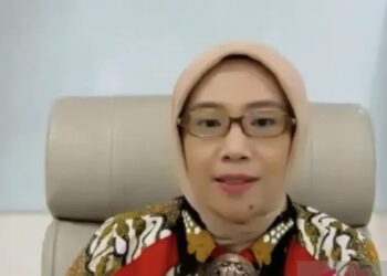 Kementerian ESDM: EBT Berpeluang Besar Membantu Kelistrikan Nasional