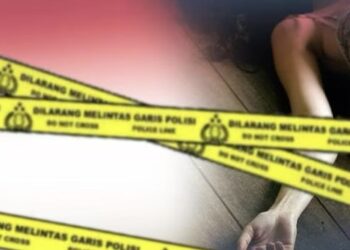 PSK Online Rentan Jadi Korban Kekerasan karena Minim Perlindungan