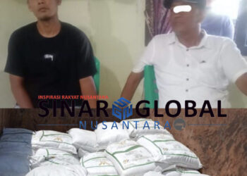 Meludah Piring Sendiri Mandor 1 di Kebun Tinjowan Tertangkap Mencuri Pupuk Milik PTPN IV Regional ll,Siapa Saja Terlibat?