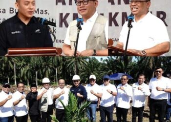 PTPN IV Regional II Tanam Perdana Kelapa Sawit 107 Ha di Kebun Plasma KUD Tani Makmur Langkat