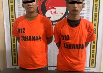 Sat Narkoba Polres Simalungun Berhasil Tangkap Suek CS Pengedar Narkoba di Kecamatan Bandar BB 3,30 gram Sabu