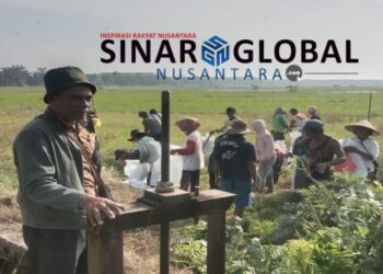 Petani di Ujung Padang Menderita Selama 4 Tahun Akibat Irigasi Rusak, Pemkab Simalungun Diminta Bertindak