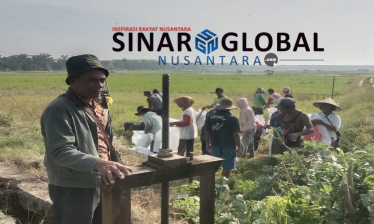 Keterangan Foto: puluhan petani Nagori Sei Merbau bergotong royong dengan alat seadanya agar bisa mengaliri sawah nya