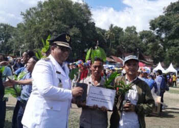 Memaknai HUT RI ke-79 Bupati Samosir Vandiko Gultom Bagikan Puluhan Ribu Bibit Pohon Bernilai Ekonomis