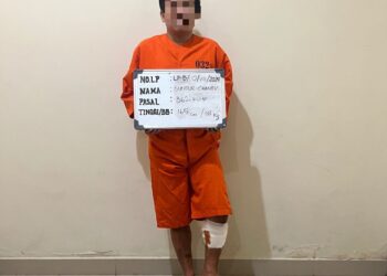 Berekreasi 12 TKP, Spesialis Curanmor dan Pencurian HP Berhasil Diringkus