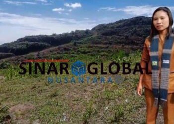 Mengulik Penggarapan Lahan Perkebunan CV.Jaya Anugerah Hingga Perusakan Aset,Pangulu Bosar Nauli Diduga Ada Keterlibatan