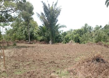 KWT Gampong Ladang Buka Lahan Pertanian Bawang Merah, Geucik Chairul Musca Akan Bangun Sumur Bor