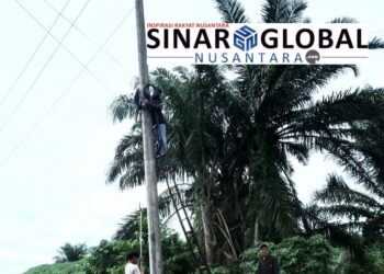Provider Internet (WIFI) Ilegal Pasang Kabel Liar dan Semrawut Pada Tiang Listrik PLN ULP Tanah Jawa Resahkan Warga