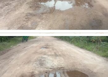 Warga Desa Kerinting Hilir dan Desa Sekayan Menderita Langganan Jalan Rusak, Pemkab Indragiri Hilir Diminta Adil Dalam Pembangunan