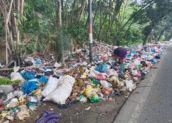 DLH Labuhanbatu Diduga Tidak Mampu Mengatasi Sampah di Labuhanbatu