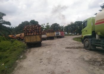 Diduga Konspirasi Jahat Rekanan Pemasok TBS Dengan Manajemen PTPN IV Unit PKS DOI Muluskan Buah Mentah dan Busuk Masuk Olahan