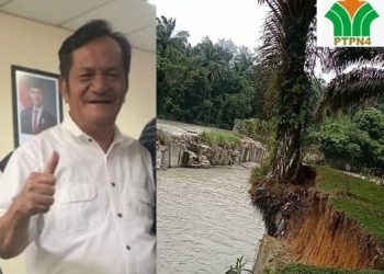 Dekat Kantor Distrik I Bah Jambi Puluhan Hektar HGU PTPN IV Unit Bahjambi Dirusak Digarap Pengusaha Galian C Ilegal,GM Masaeli Lahagu Kenapa Tutup Mata