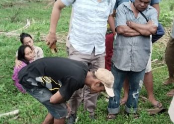 Diduga Korban Pembunuhan,Warga Simalungun Ditemukan Terbujur Kaku Dikebun Sawit,Ada Memar dan Luka Sobek
