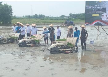 Gerakan Tanam Padi Serentak,Wagubsu Jajal Mesin Rice Transplanter