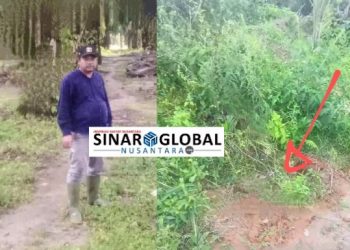 Diserang Berita Miring CV.Jaya Anugerah Duga Ada Sabotase,Difitnah Oknum Sentimen Karena Program Hanpang Gagal