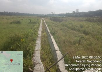 Irigasi Puluhan Milyar Sia-sia di Simalungun,Persawahan Alih Fungsi Jadi Kebun Rakyat Tunggu Gagasan Pemerintah