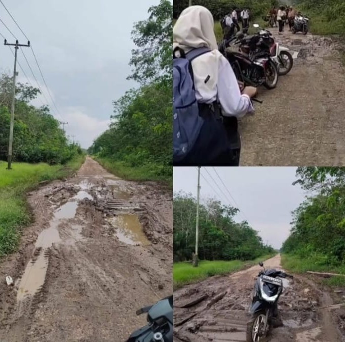 Terpantau puluhan pelajar dan warga kesulitan melintasi jalan penghubung 
Kecamatan Koto Gasib dan Kecamatan Sungai Mandau, Kabupaten Siak,Provinsi Riau.adapun titik yang paling rawan terletak di Rt 02 Rw 01 Dusun Segintil,Desa Teluk Rimba  seperti terpantau pada hari Sabtu (10/05/2025).Dok:SGN