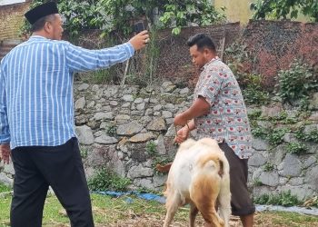 DPRK Aceh Tengah Minta Dinas Peternakan Perketat Pengawasan Hewan Kurban