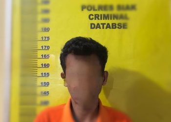 Anak Dibawah Umur Diduga Jadi Korban Kekerasan Seksual, Pelaku Sudah Ditangkap Polisi