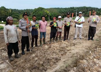 Polsek Tualang Turut Andil dalam Program Asta Cita Lewat Penanaman Jagung di PT. AIP Di Lahan 1 Hektar