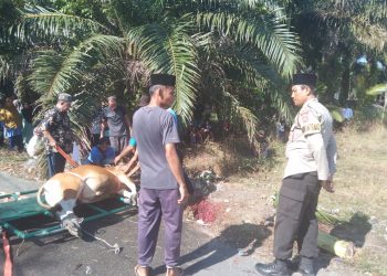 Polsek Siak Gelar Patroli di Tempat Wisata dan Lokasi Pemotongan Hewan Qurban, Antisipasi C3 dan Gangguan Kamtibmas