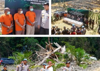 Tindak Tegas Perusakan Hutan, Polda Riau Tegaskan Komitmen Green Policing