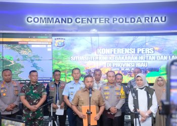 Karhutla Di Riau Menurun, Kolaborasi Semua Pihak Jadi Kekuatan Utama Penanganan Karhutla