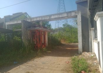 “Pertaruhan Besar”Perjudian Sabung Ayam di Jalan T. Amir Seperti Kebal Hukum, Warga Minta Polres Labuhanbatu Jangan Tutup Mata