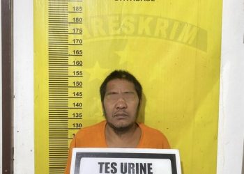 Tiga Tahun Buron, Pelaku Pencabulan Dua Anak di Batang Gansal Ditangkap, Terbukti Positif Narkoba