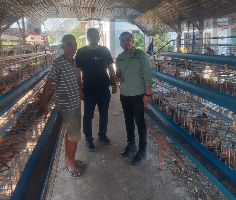 Dewan Pimpinan Daerah Tani Merdeka Aceh Tamiang melaksanakan kunjungan lapangan untuk mengedukasi bagi para pelaku peternak ayam.