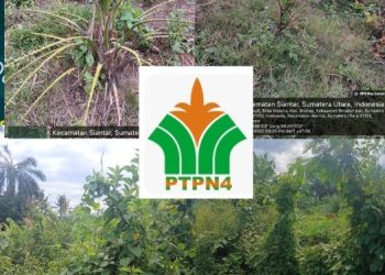 Diduga Antara Korupsi Biaya Perawatan atau Pimpinan Terlena di Kursi Empuk, TBM 2 Milik PTPN IV Unit Marihat”Hidup Segan Mati Tak Mau”