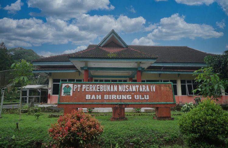 Kebun Bah Birung Ulu PTPN IV Regional II yang berhasil melampaui target produksi hingga Triwulan III Tahun 2025. Data menunjukkan bahwa dari Januari hingga September 2025.