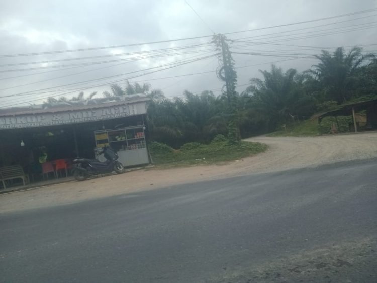 Simpang tikungan jalan turunan, Desa Janji, Kecamatan Bilah Barat.Labuhanbatu,  jalan masuk menuju peredaran Narkoba,dok:SGN