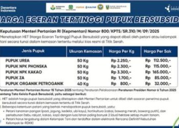 Info buat APH dan  Bupati Simalungun!! Mafia Pupuk Ujung Padang Menggila: Petani Merana, Kios dan Distributor Diduga Kongkalikong Garong Subsidi