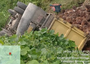 Diduga Akibat Overload Truk Nopol BK 8629 LK Pengangkut TBS Terbalik di Perbatasan Kebun Dusun dan Kebun PDM